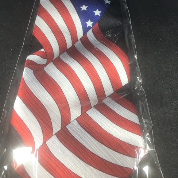 PATRIOTIC USA FLAG NECK TIE BY WILD TIES - NEW - Picture 2 of 5